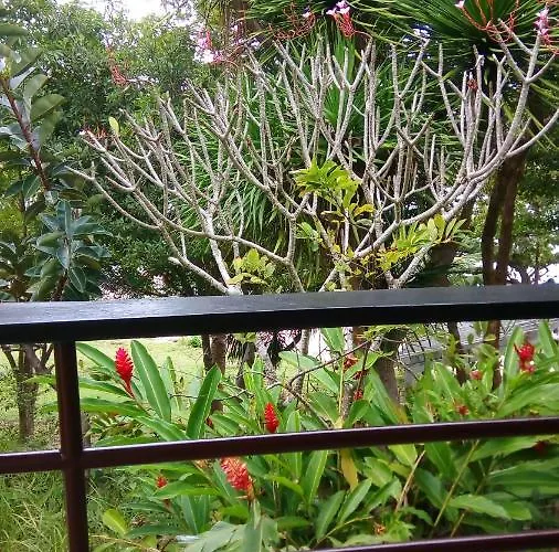Mangrove Oriental Resort